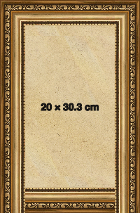 Ornate Gold Frame Gold 30.3x20 cm Picture Frame 